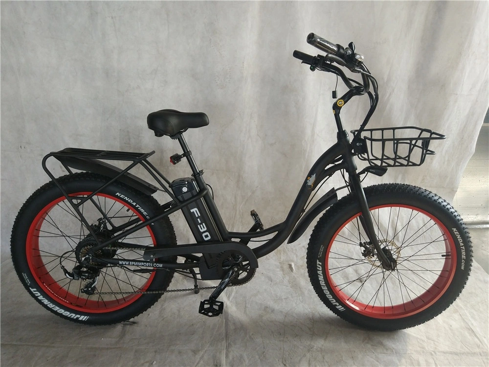 26 Inch 1000W 48V 21 Big Power Fat Tire E Bicycle Electric Bike