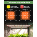 400W LED는 밝은 광축성 전체 스펙트럼을 성장시킵니다