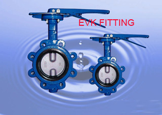 lug type butterfly valve