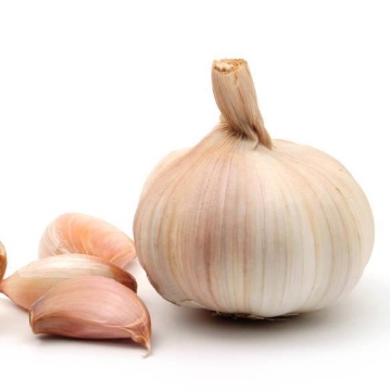 2kg Mesh Bag Small Packing Normal White Garlic