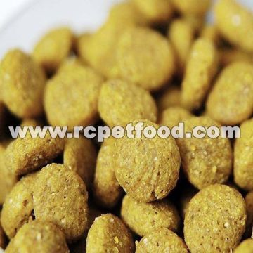 Best quality cat food