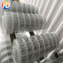 Galvanized Goat Fence in Fiji at Good Prices