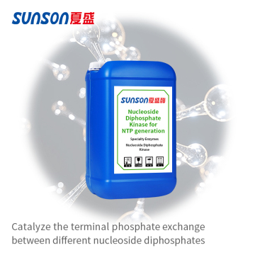 Nucleoside Diphosphate Kinase catalyze transfer of phosphate