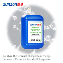 Nucleósido La difosfato quinasa cataliza la transferencia de fosfato
