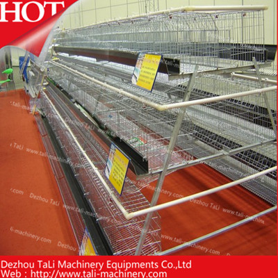 Hot Sales for Chicken Cage System