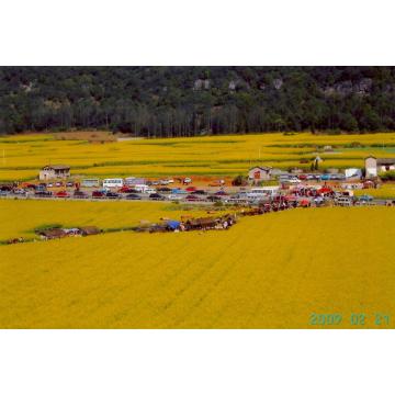 Miele di fiori di campo biologico grezzo puro al 100%