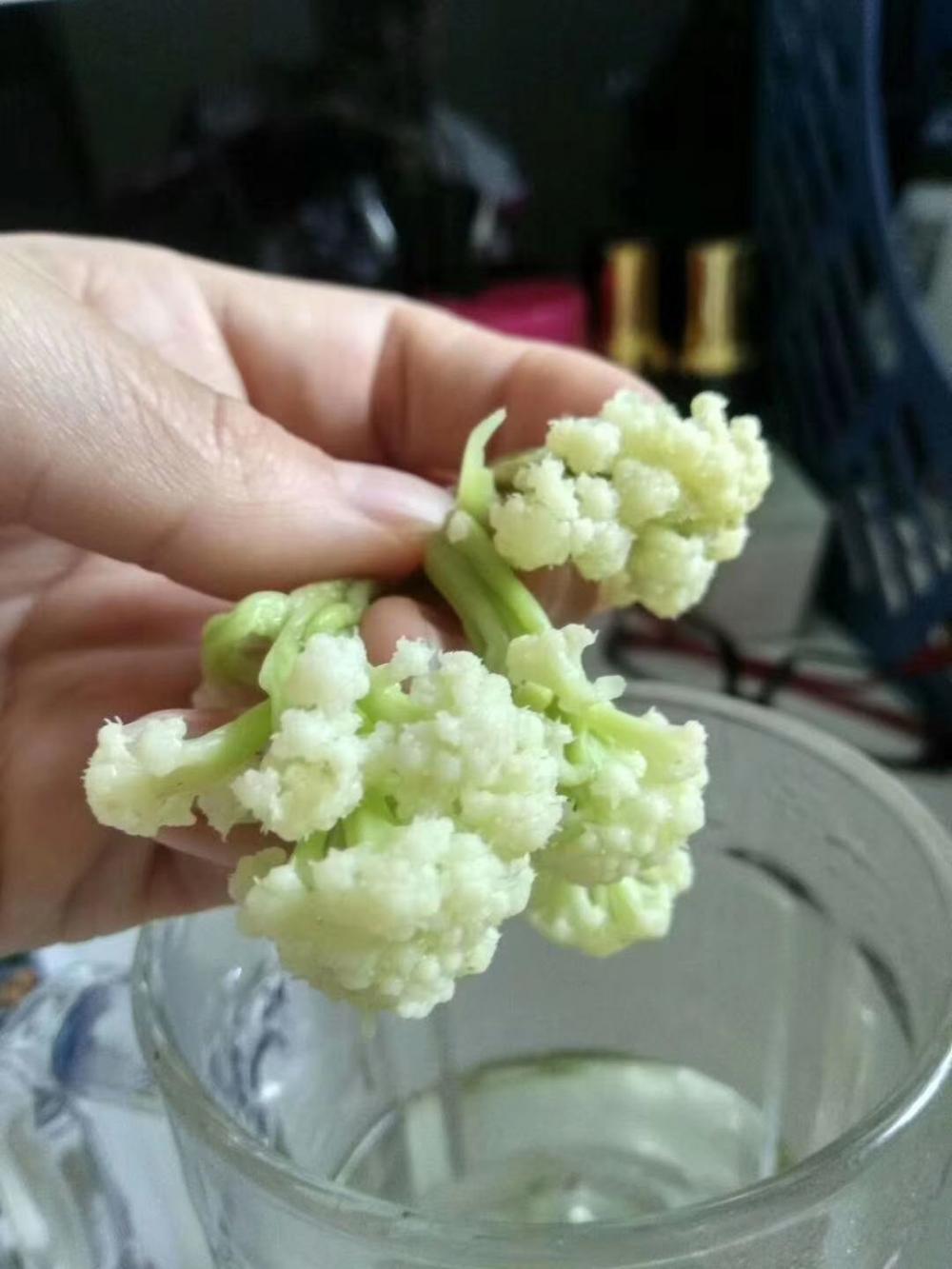 Verduras secas/secas/bomba de calor vegetales de secado al aire