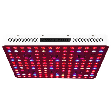 Luces de cultivo Phlizon 600w para tienda de cultivo