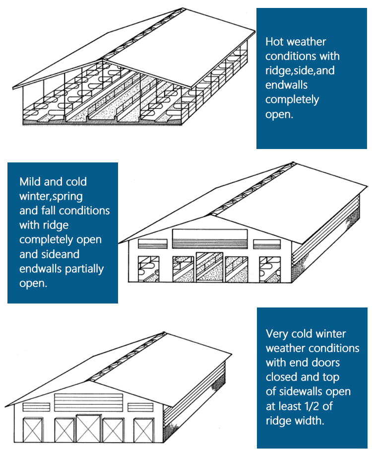 stable horse shed barn steel structure cowshed prefabricated dairy cow cattle farm shed barns house building bangladesh