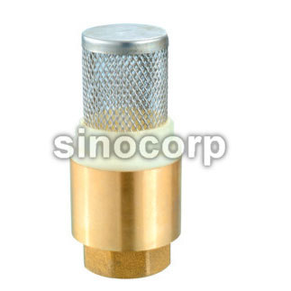 Check Valve with filter