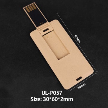 Karten-USB-Flash-Festplatte / Stiftdiskette / Memory-Stick