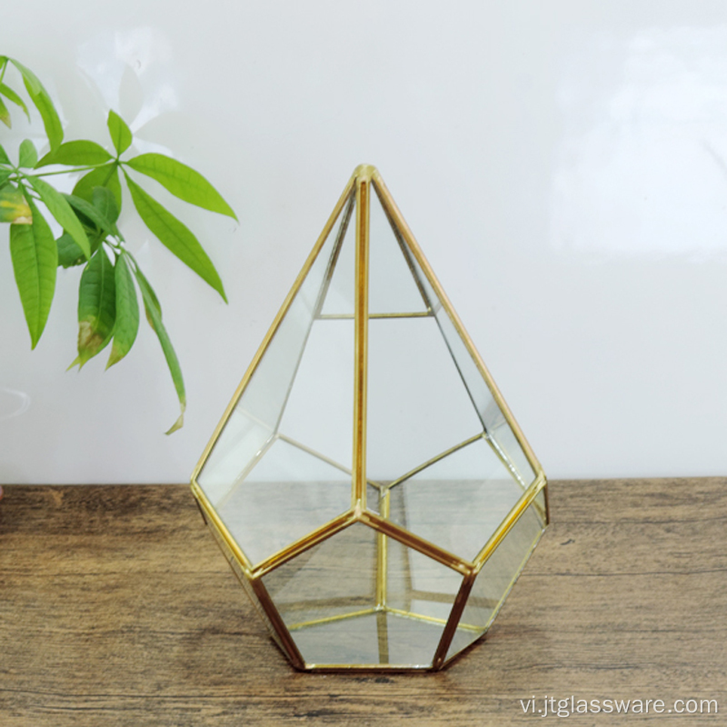 Hình dạng quả bóng ngũ giác Kính mở Terrarium Hình học