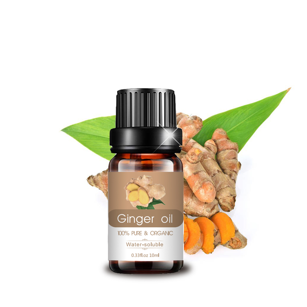 Ginger Bulk Großhandel Aromatherapie Duft ätherisches Öl