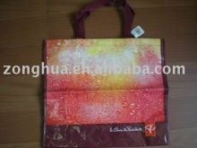 PP woven shopping bag,shopping bag,pp bag