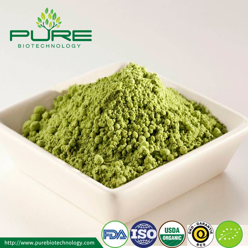 وافقت ادارة الاغذية والعقاقير ماتشا مسحوق الشاي FDA Approved Matcha Tea Powder