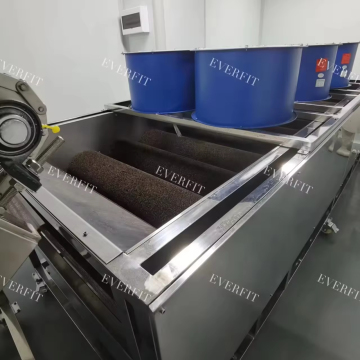 Industrial Dates Processing Machinery: Washing and Drying Machine for Dates