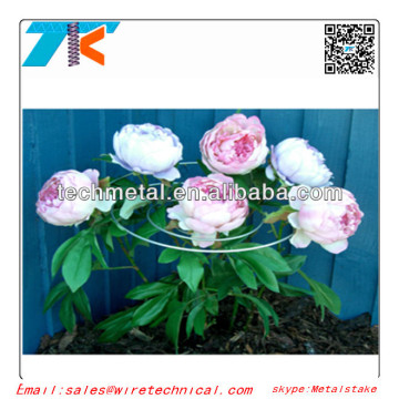 Steel Flower Supporter