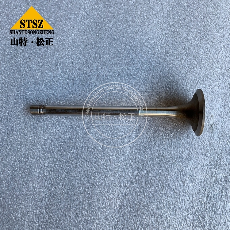 3803524 3 Jpg 3803524 3 Jpg