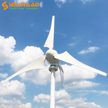 New energy power generation system 600W 12V 24V wind turbine