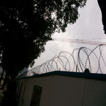 SGS Galvanization Barbed Wire (SB-108)