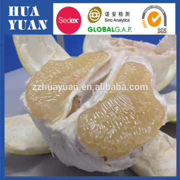 Fresh fruit honey pomelo for sale