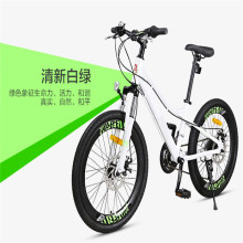 Cool Popular Road Bicycle