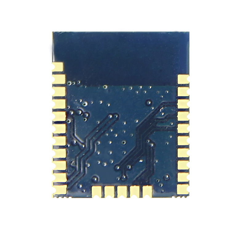 SKYLAB Cheap Long Distance Low Power Consumption Nordic nrf52840 BLE 5.0 Bluetooth Module in shenzhen