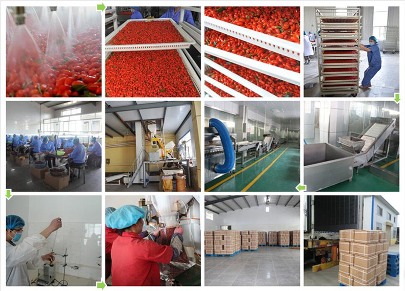 goji production