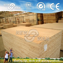 Oak/Okoume/Bintangor/Poplar Face Falcata Core Blockboard ? (NBB-068)