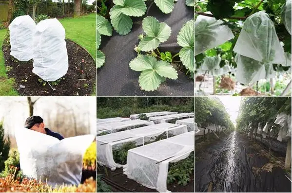 Spun Bonded Non Woven Fabric Mulch Film Frost Blanket Agriculture Ground Cover Garden Fleece Cloth