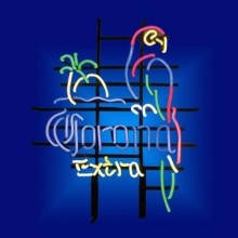 Neon Sign and Display