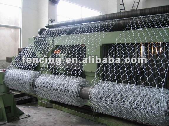 Chicken/Hexagonal Wire Mesh (5% discount in Jan.2012) En,BS,Din standard