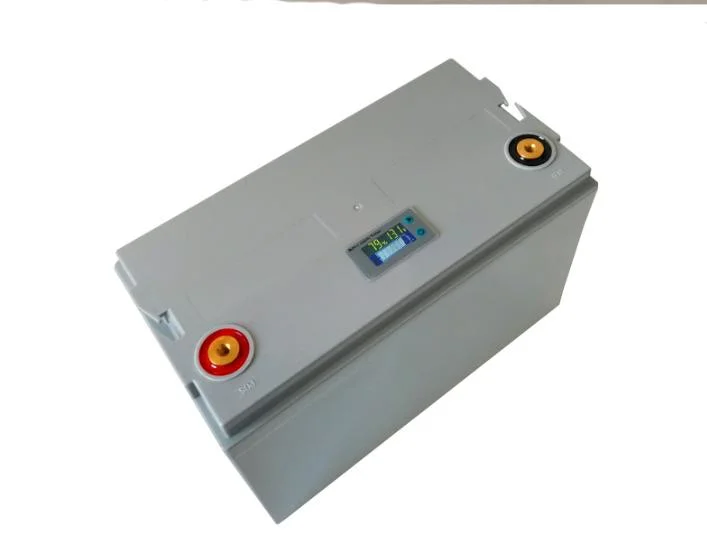 Deep Cycle 12V 100ah LiFePO4 Battery Pack/Lithium Batteries for Boat/Golf Cart