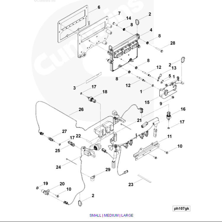 ECM 4309175