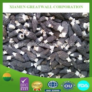 Good price of dried black morel mushroom in hot sale