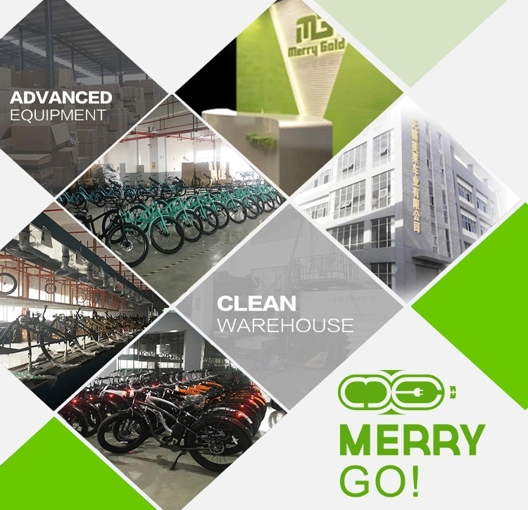 Merrygold Hot-Sale New OEM Aluminum Alloy Electric Bike