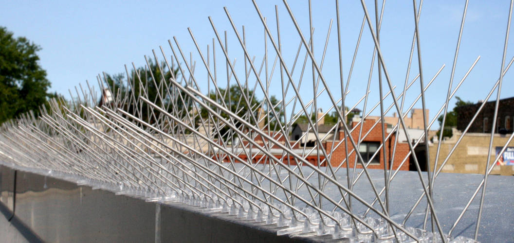 Single anti-bird spines all stainless steel 304 bird spikes eaves with 50CM scare bird spines