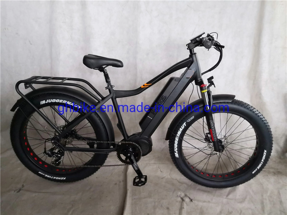 Bafang Brushless Motor Lithium Battery 1000watt 48volt Fat Tire Ebike Electric Bike