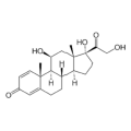 cecair prednisolone untuk kucing