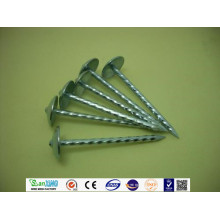 IBR Roofing Nails Twisted Shank Galvanized仕上げ