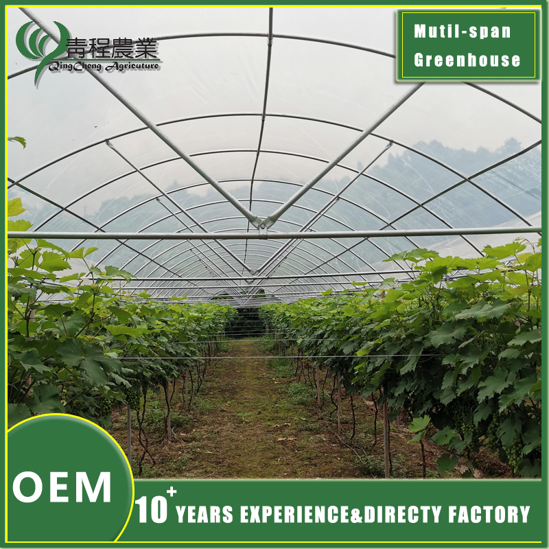 Абарона ад дажджу для цяпліцы Rain Protection for Greenhouse