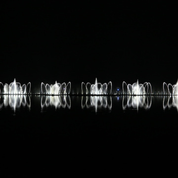 Economic Program Control Music Flower Fountain