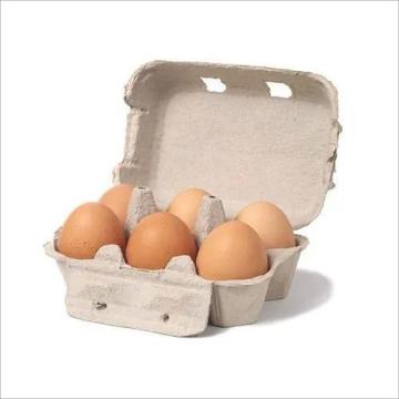 Customized High-Quality Colored Egg Cartons for Chicken Packaging