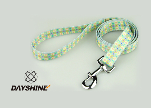 Nylon dog collar and leash pet collar