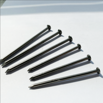 Round Iron Polish Common Nails