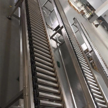 Stainless Steel Roller Conveyor with Mini Drive System
