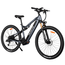 Mountain Pedelec Electric Bike