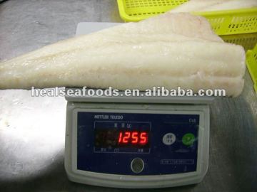 Frozen Codfish Fillet