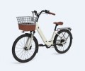 Lady Electric Bike 2 -Sitzer