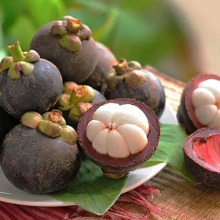 Mangosteen Extract